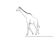 Giraffe-2.pdf